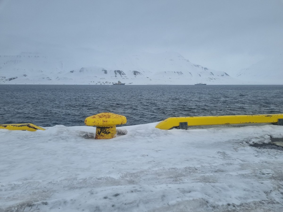 SnillGutt's tweet photo. Nikker in en #Pullert fra #Svalbard #Longarbyen
Fortsatt flott og vinter her ja... https://t.co/AHrrELhOca