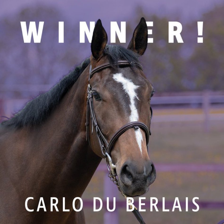 Fergal O'Brien Racing tweet media