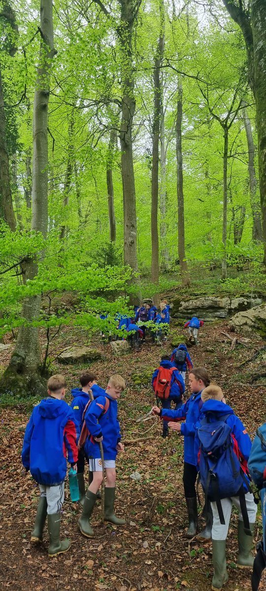 cwp_yr5_6's tweet photo. More tales from the woods. https://t.co/0VoJEKJtyw