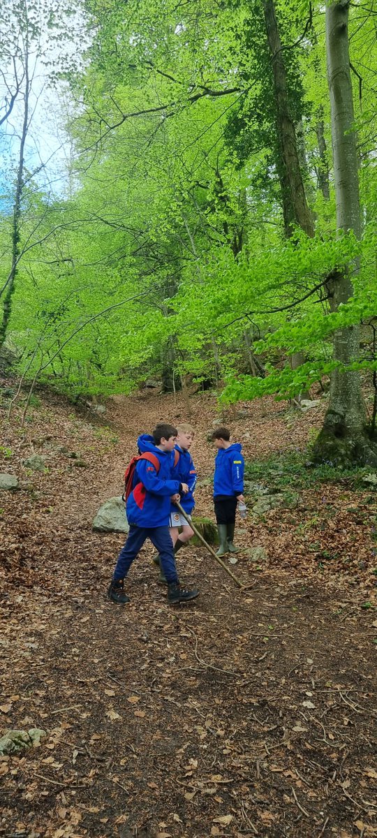 cwp_yr5_6's tweet photo. More tales from the woods. https://t.co/0VoJEKJtyw