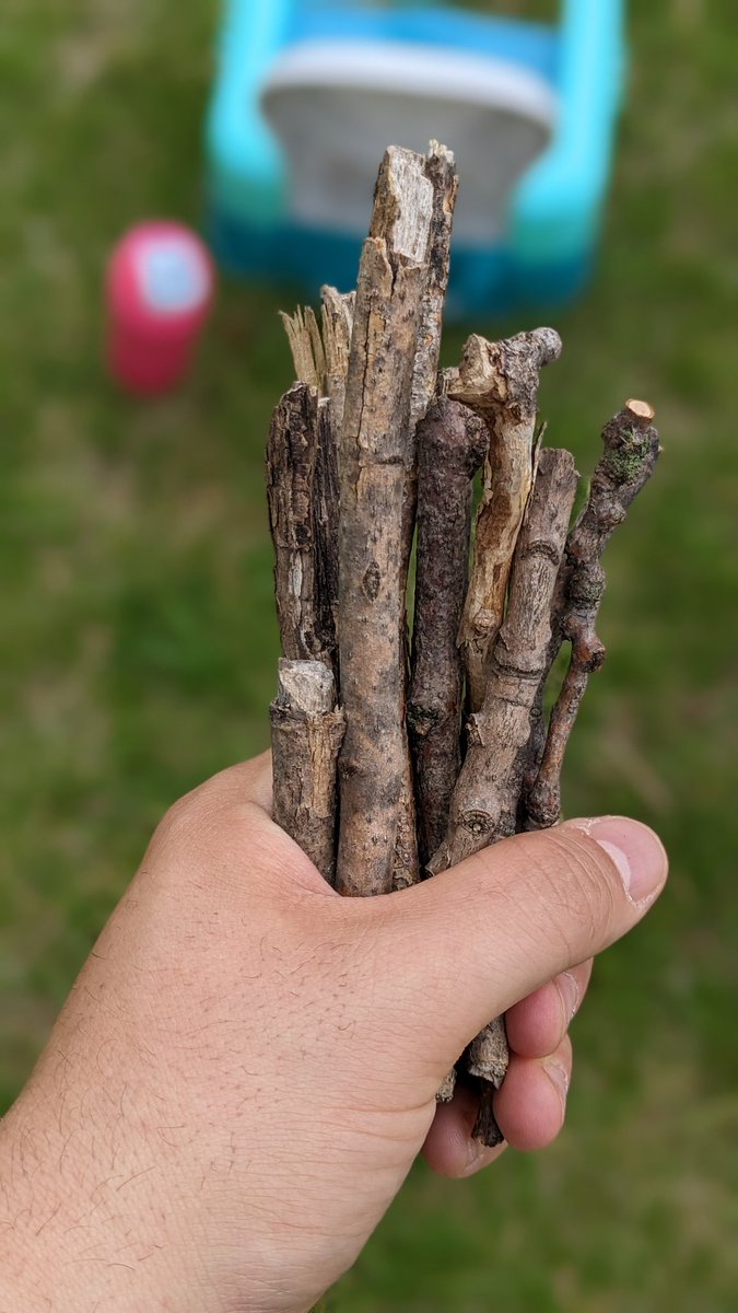 My son picks the most beautiful bouquets