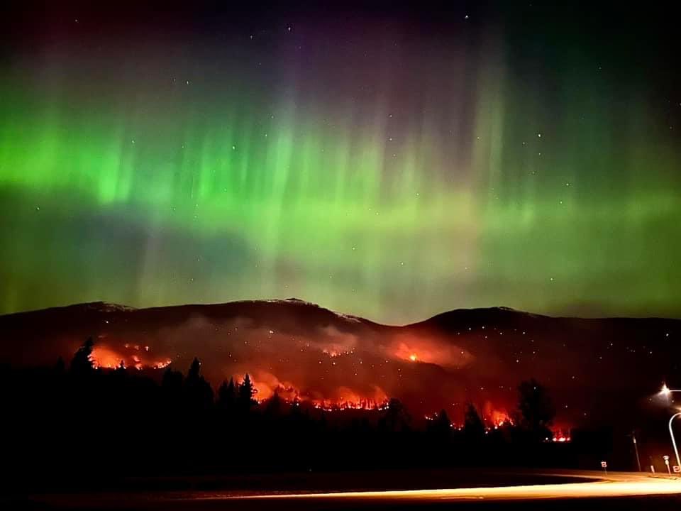 Caden Fanshaw tweet media