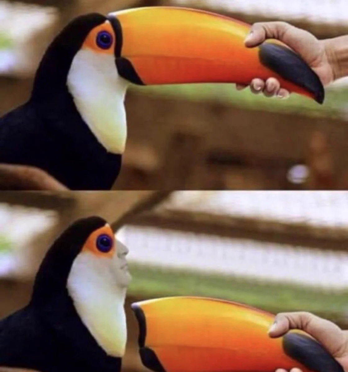 くちばしを外すと人間の顔があった！？夢に出てきてしまいそうな画像！