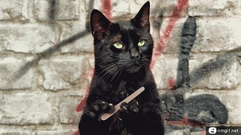 For just 20 retweets of this tweet I will reveal my next 100x plan on #PEPE.
Are you curious?
Let's see...