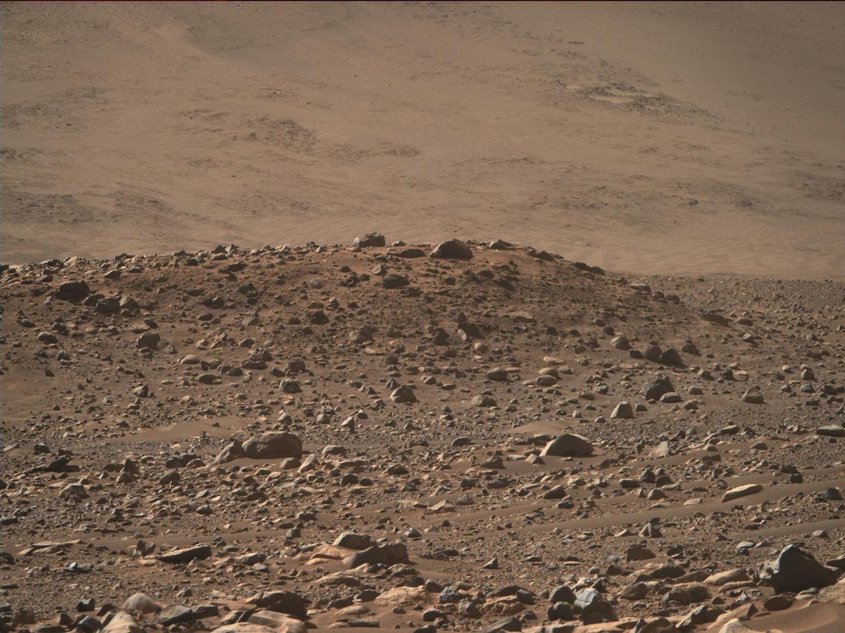 exploreplanets's tweet photo. Ingenuity is hidden in this photo. Can you spot it? 🧐 https://t.co/QD6Pjmjg7Y