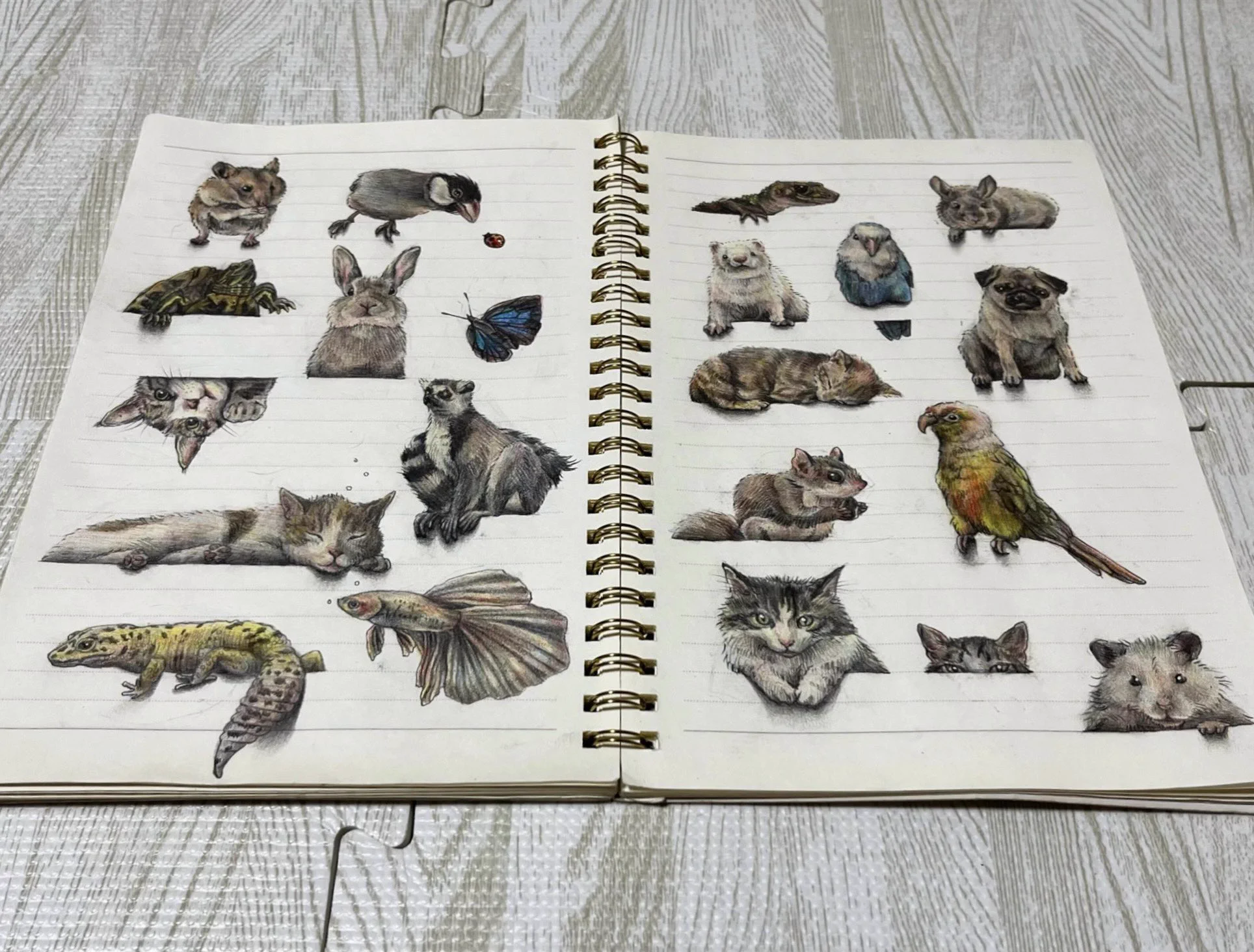 1RTにつき罫線で遊ぶ小動物を1匹描く企画。22000匹を描くことに！