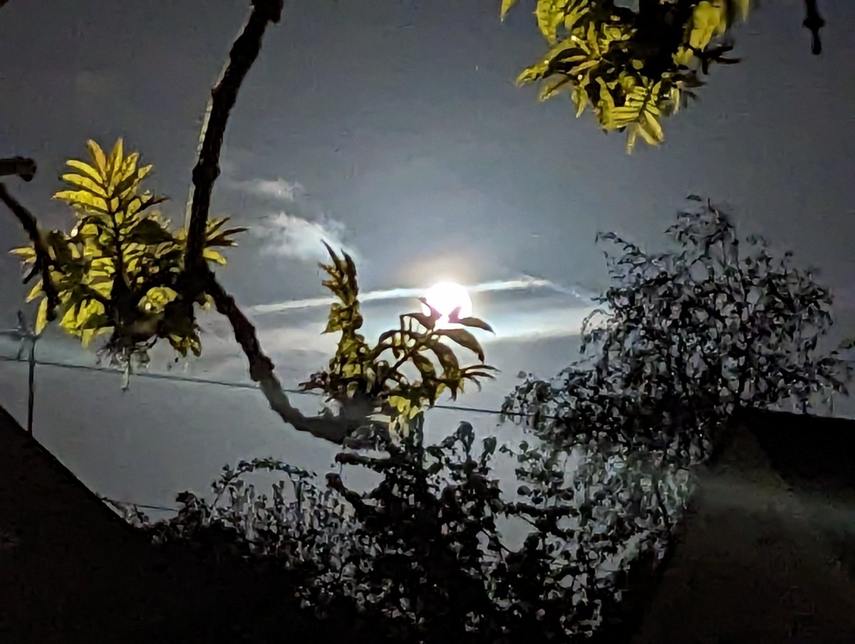 pobicus's tweet photo. Last night's moon. #pixel6 https://t.co/WH39aLdyTE
