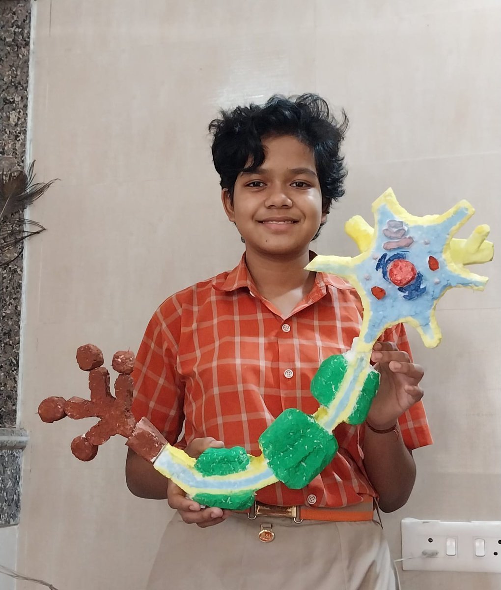 SAI_Edu_In's tweet photo. Students of Class IX engaged constructively in an activity where they make different 3D cell models by using different materials like playdough, clay, atta dough, thermocol, etc.
#cellmodel #onlineclass #creativity https://t.co/vluHoD5BqS