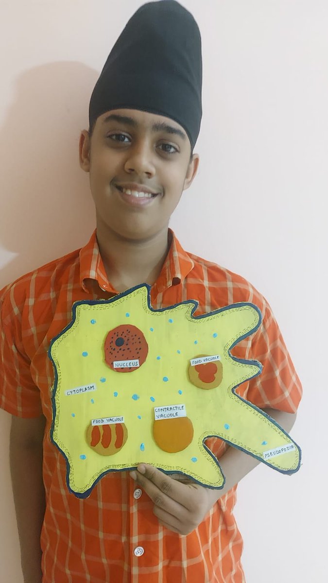 SAI_Edu_In's tweet photo. Students of Class IX engaged constructively in an activity where they make different 3D cell models by using different materials like playdough, clay, atta dough, thermocol, etc.
#cellmodel #onlineclass #creativity https://t.co/vluHoD5BqS