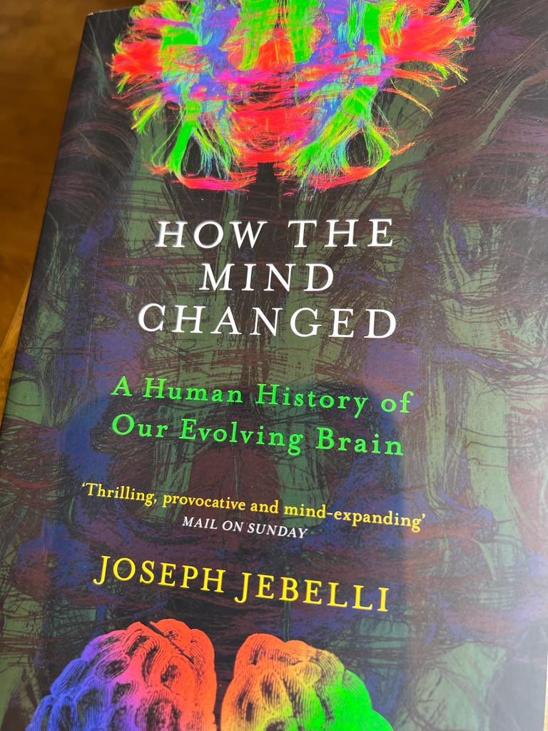 Nico Spoelstra tweet media