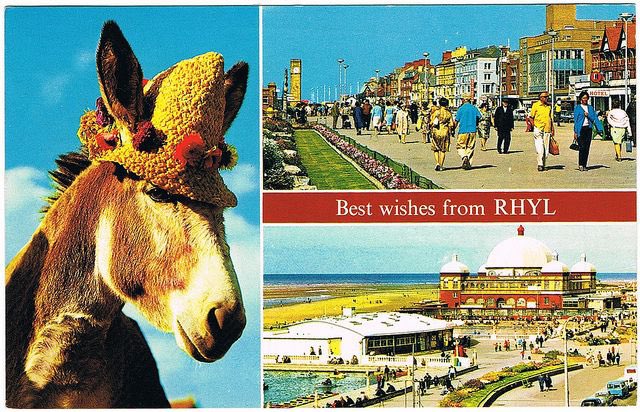 𝕄𝕣 𝔼𝕕 💫 tweet media