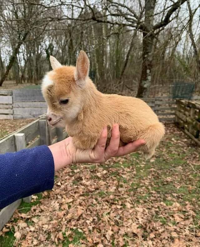 it's dangerous to go alone, take this