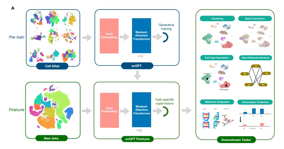 Anders Sandberg tweet media