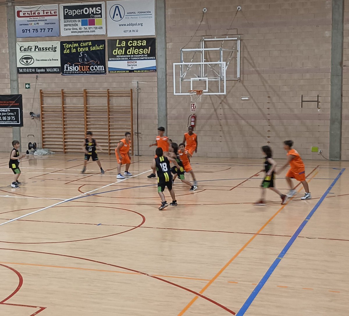 Front1989EBC's tweet photo. Presents al pavelló #to_rent per veure al @esporlesbc #MiniNegre #calamarkids vs Bàsquet de la Cruz
#123esporles #welovethisgame #negrigrocs #FRONT1989 #frontismeillibertat #verdhistòric #elbàsquetcansa #nohaymásconos #semprepresents #semperfidelis https://t.co/74ykkRjg7e