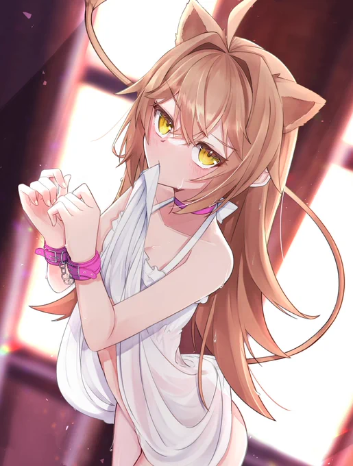再掲 #るるどらいおん
