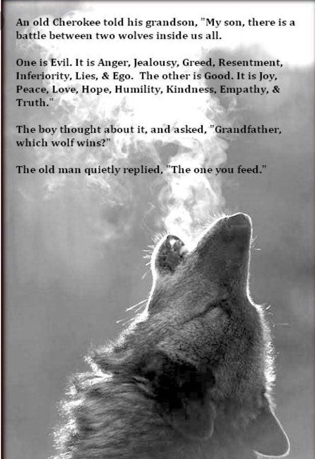 Scott Sallach tweet media