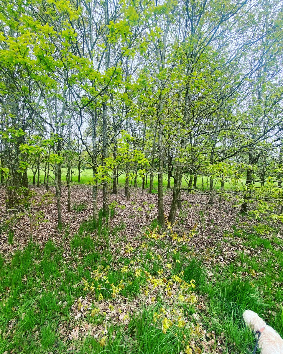 Kidnot's tweet image. Sometimes the greatest gift you can give yourself is a moment of stillness and reflection. 

#amomentofpeace
#findstillness
#breatheandbelieve
#gratefulheart
#giftofgrace