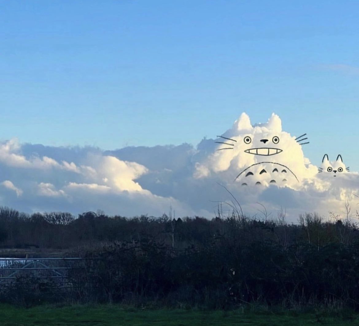 Totoro cloud