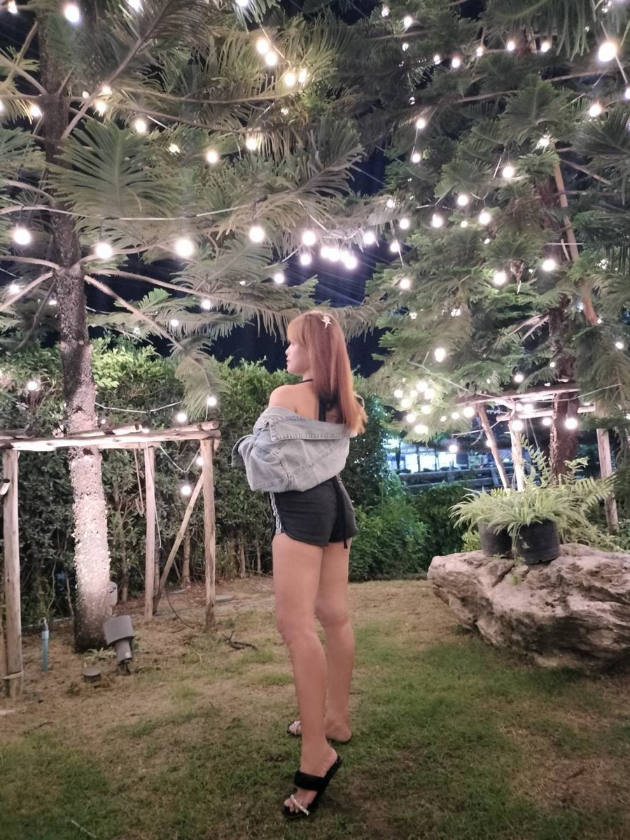 oilly87548747's tweet photo. อยู่คนเดียว....อยู่ลำพังง🤣🤣 
#ปากช่อง https://t.co/0GHX1TJCZB