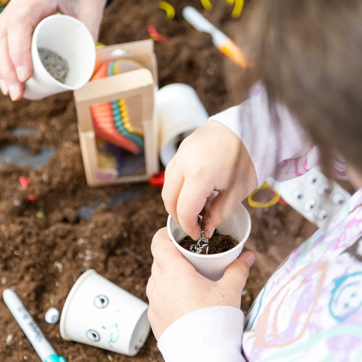 Colne Bid tweet media