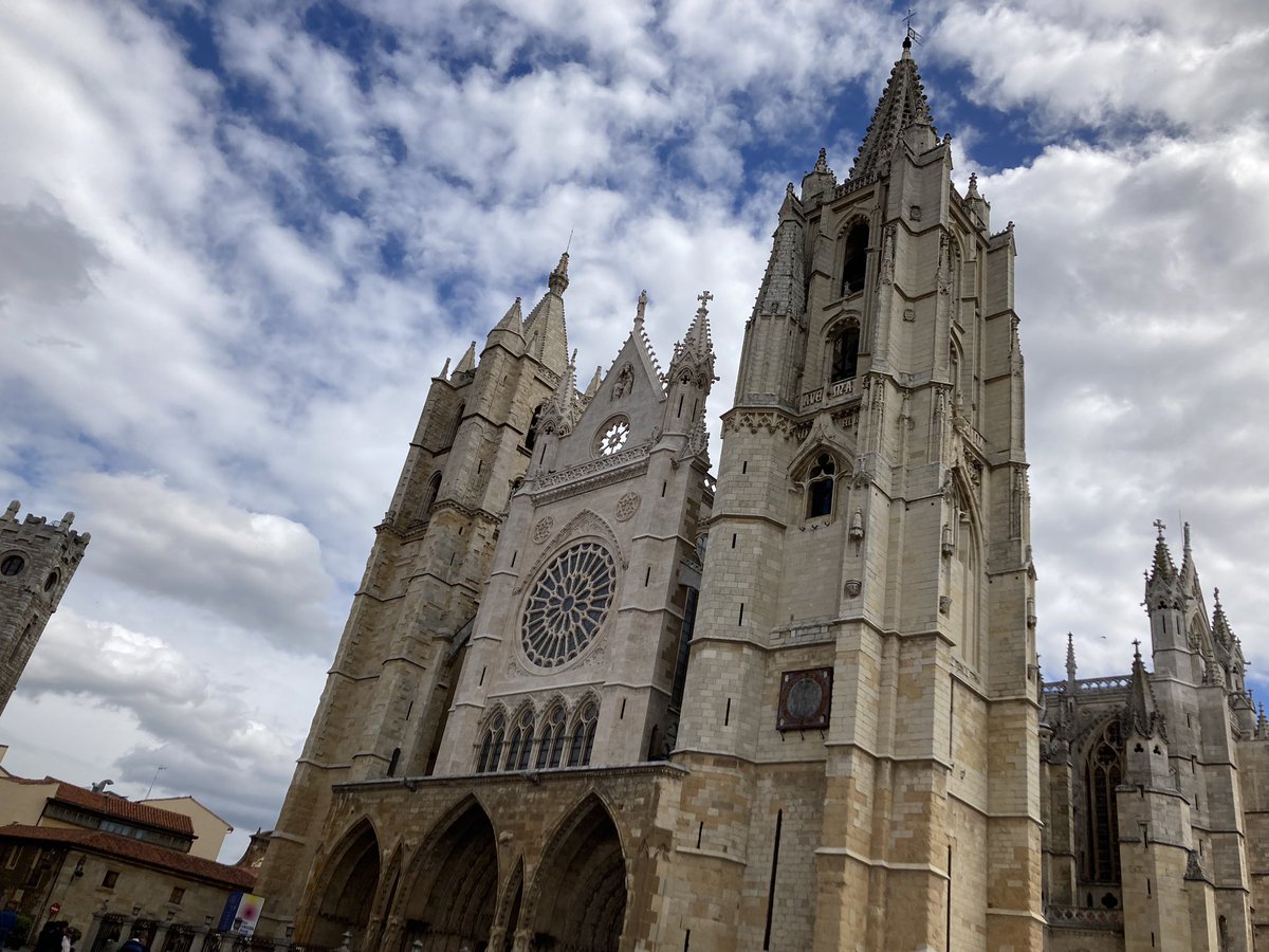 Katrina Williams tweet media