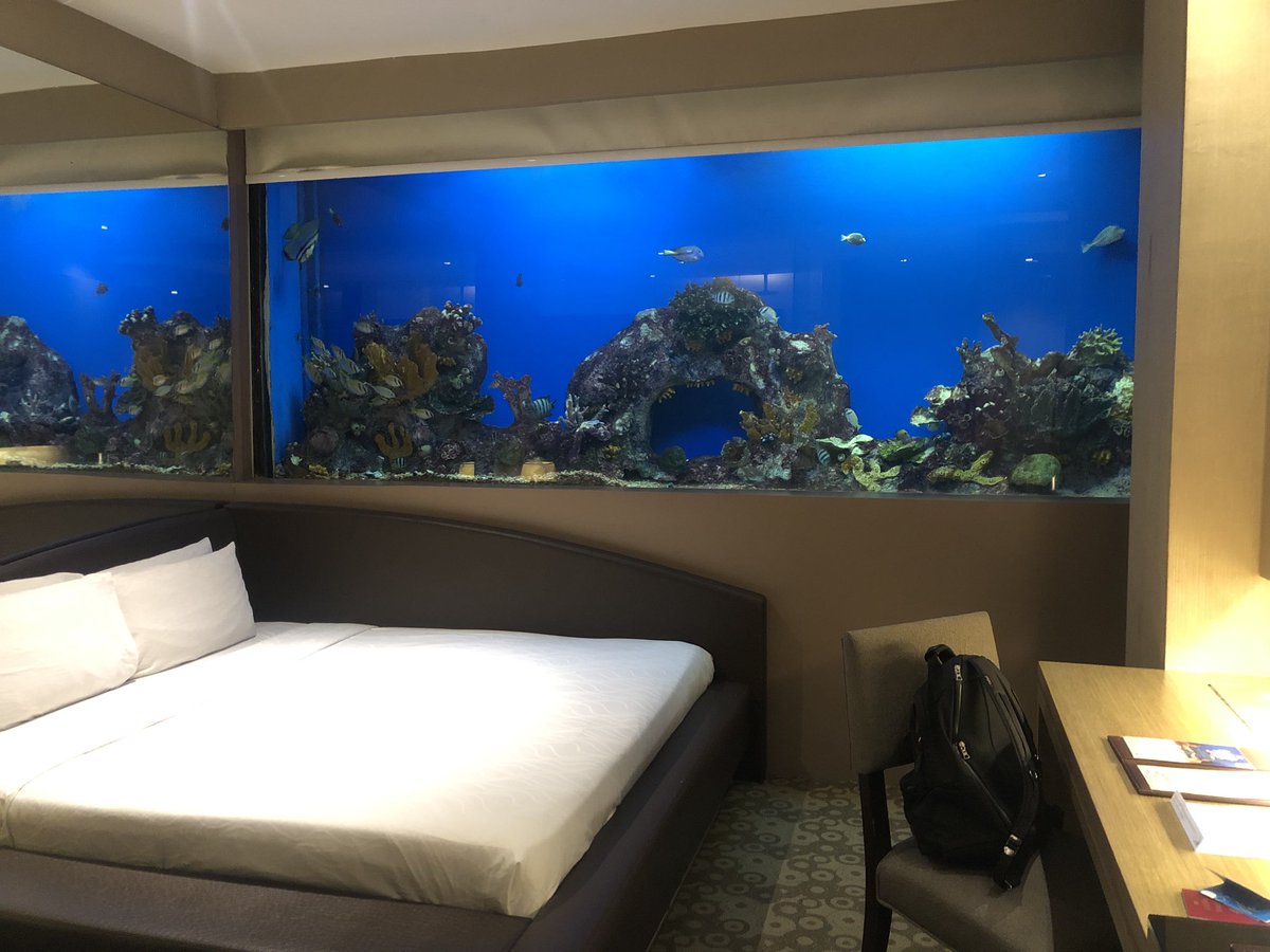 わくわくしすぎて全然寝られなかった