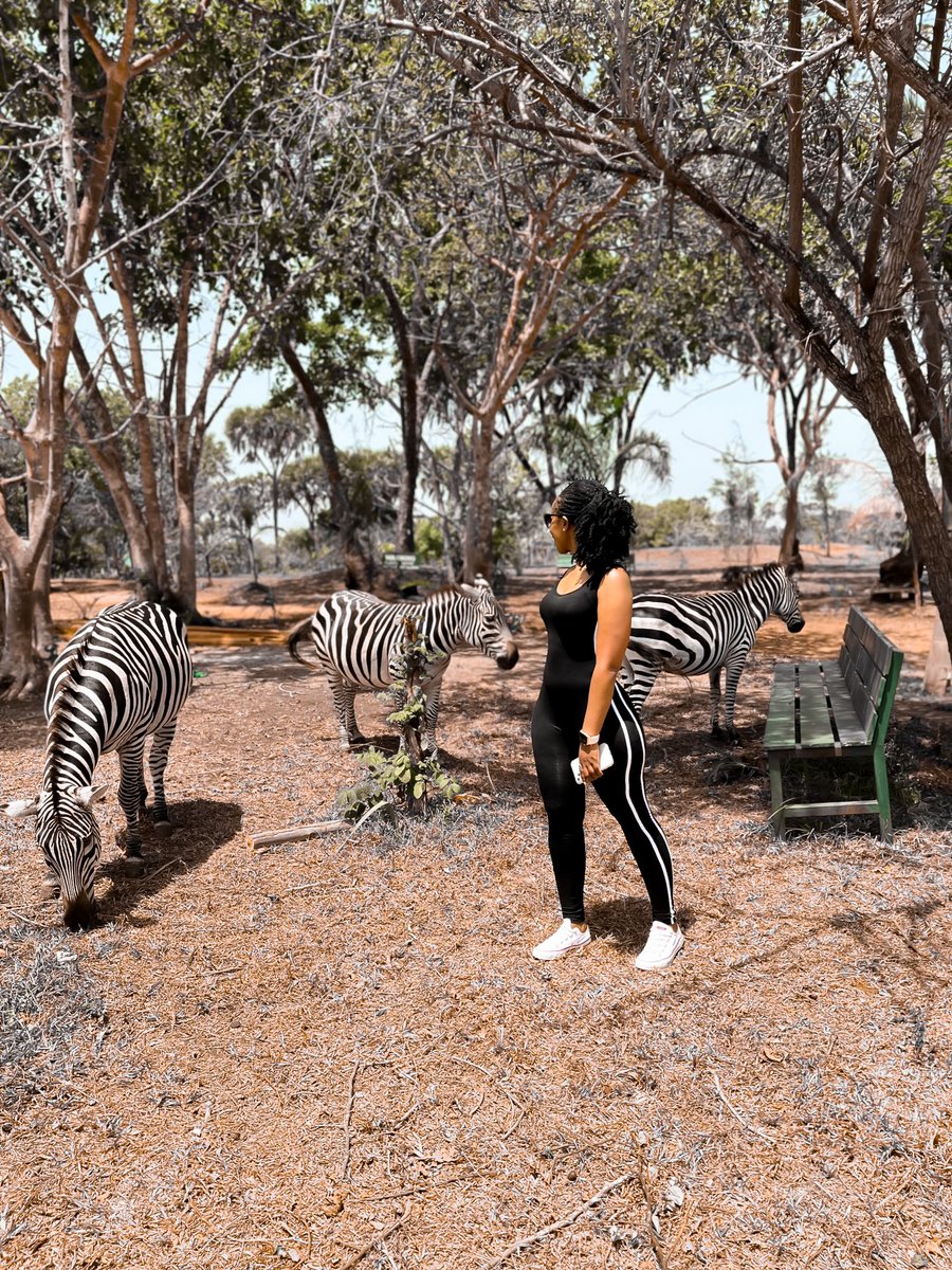 evenmaina's tweet photo. Pesa ya wamama haikosangi kazi.😅 Have great weekend.
📌Bora Bora wildlife park https://t.co/nRzKezg10N