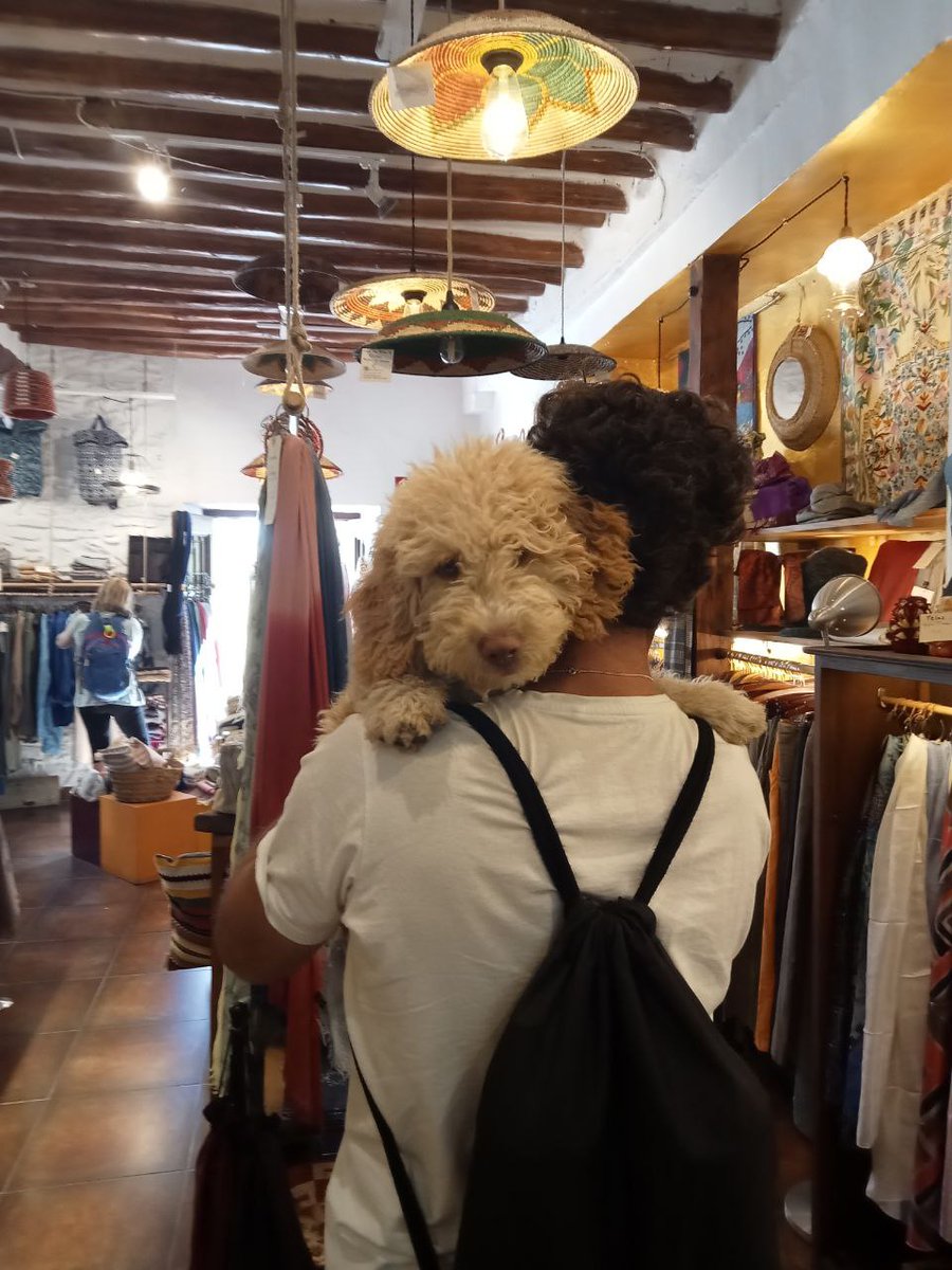 TAlpujarra's tweet photo. 🥹 Nos gustan las historias de #Amor, José Luis con su 🐕  Boni o Boni con su humano José, abrazo de amor con TENCANTA como testigo. Boni disfruta también de Alicia , que no sale en la 📷 foto pero es como un hada madrina.
🌳 #Repoblar, 🌍 #Sostener, 👗 #Crear en #Capileira https://t.co/xbDofOW28s