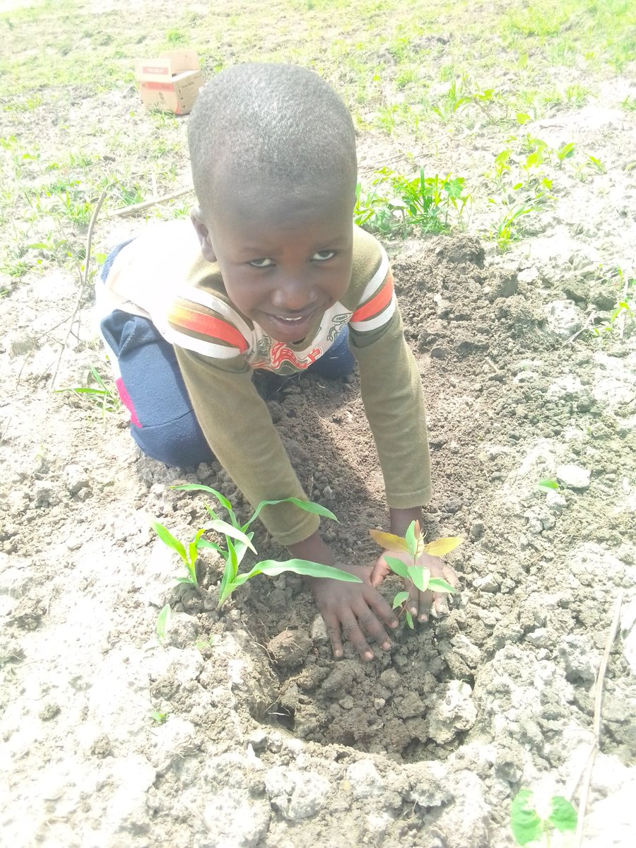 ojilongmark's tweet photo. @ 4 years planting 20,350 trees for the Green world..@ClimateChangeTF @WBG_Climate @ClimateSma84939 @EUClimateAction @Tree adoption Uganda @Treehugger @nemaug @Greenpeace @greenpeaceusa @NGOmonitor https://t.co/NRSw9qYowR
