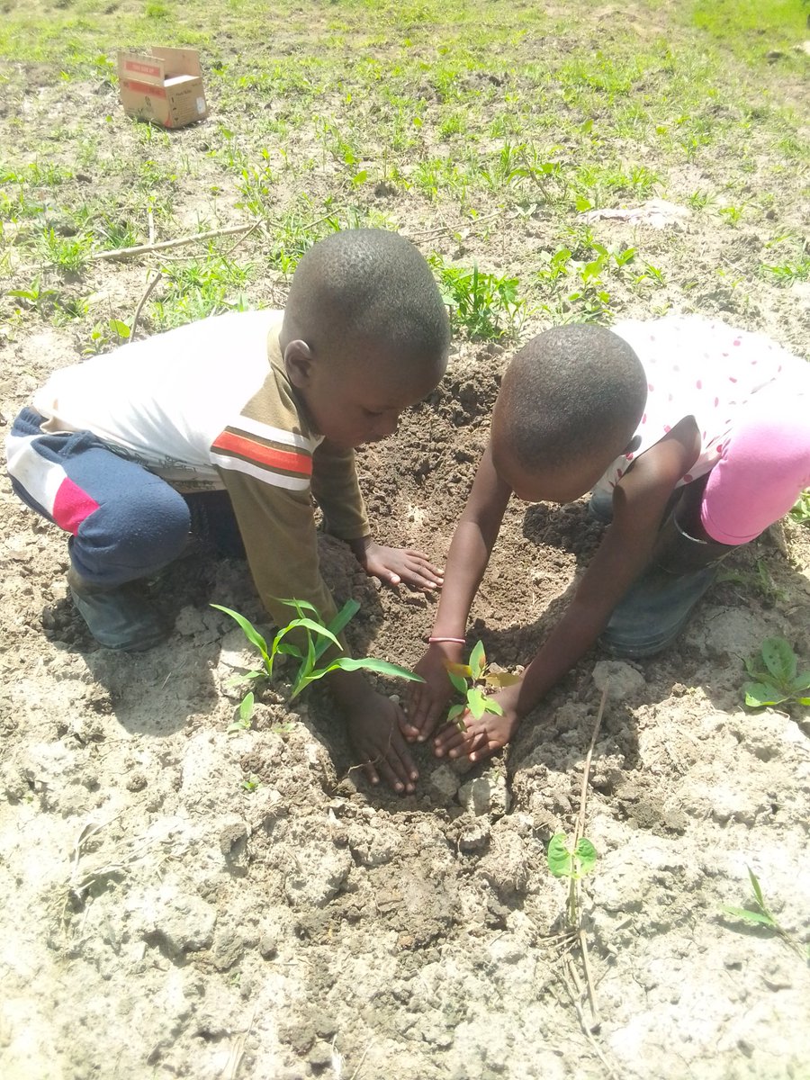 ojilongmark's tweet photo. @ 4 years planting 20,350 trees for the Green world..@ClimateChangeTF @WBG_Climate @ClimateSma84939 @EUClimateAction @Tree adoption Uganda @Treehugger @nemaug @Greenpeace @greenpeaceusa @NGOmonitor https://t.co/NRSw9qYowR