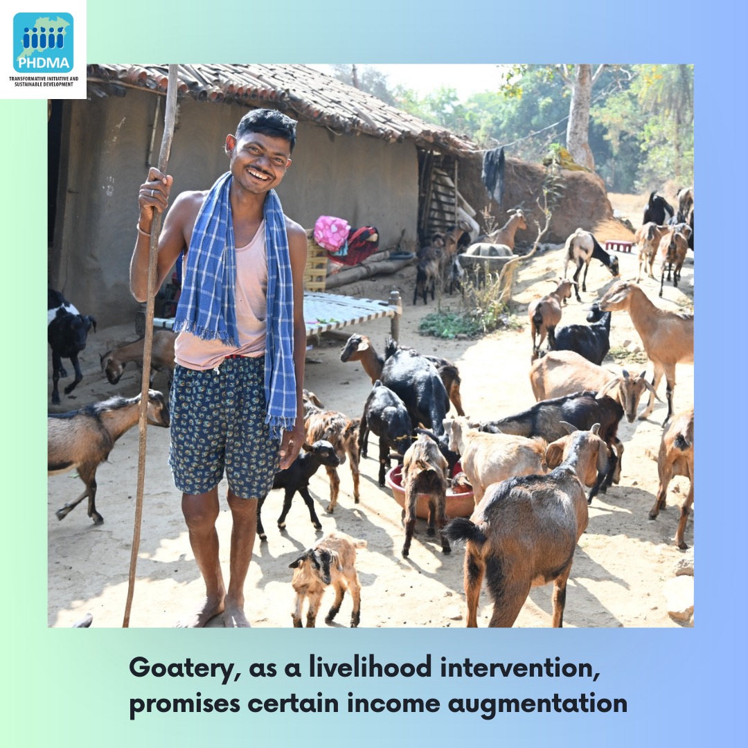 State government's livelihood interventions ensure 
-year-long employment and income, 
-arresting migration 
-and poverty reduction
#livelihood #goatery #goatfarming #interventions #employment #income #migration #poverty #povertyreduction #Odisha