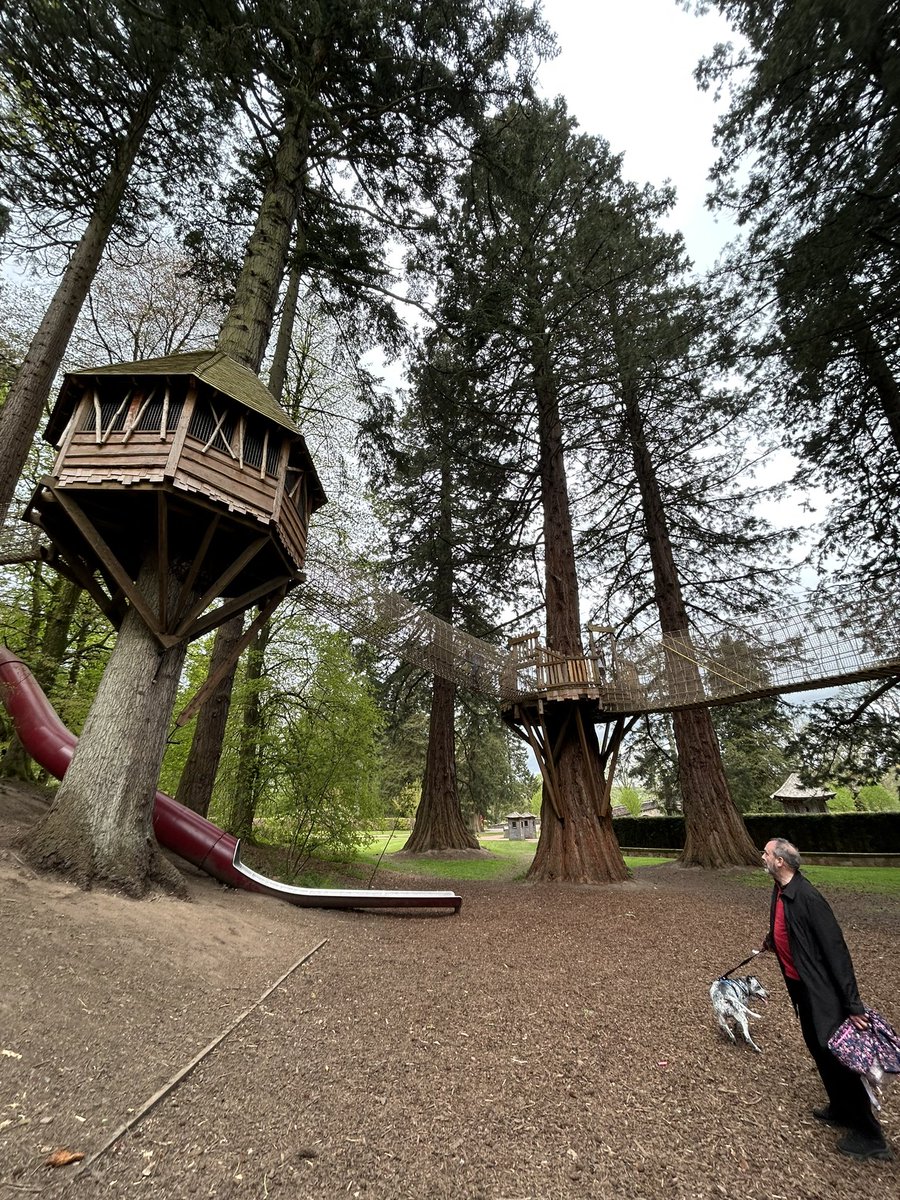 James Morton tweet media