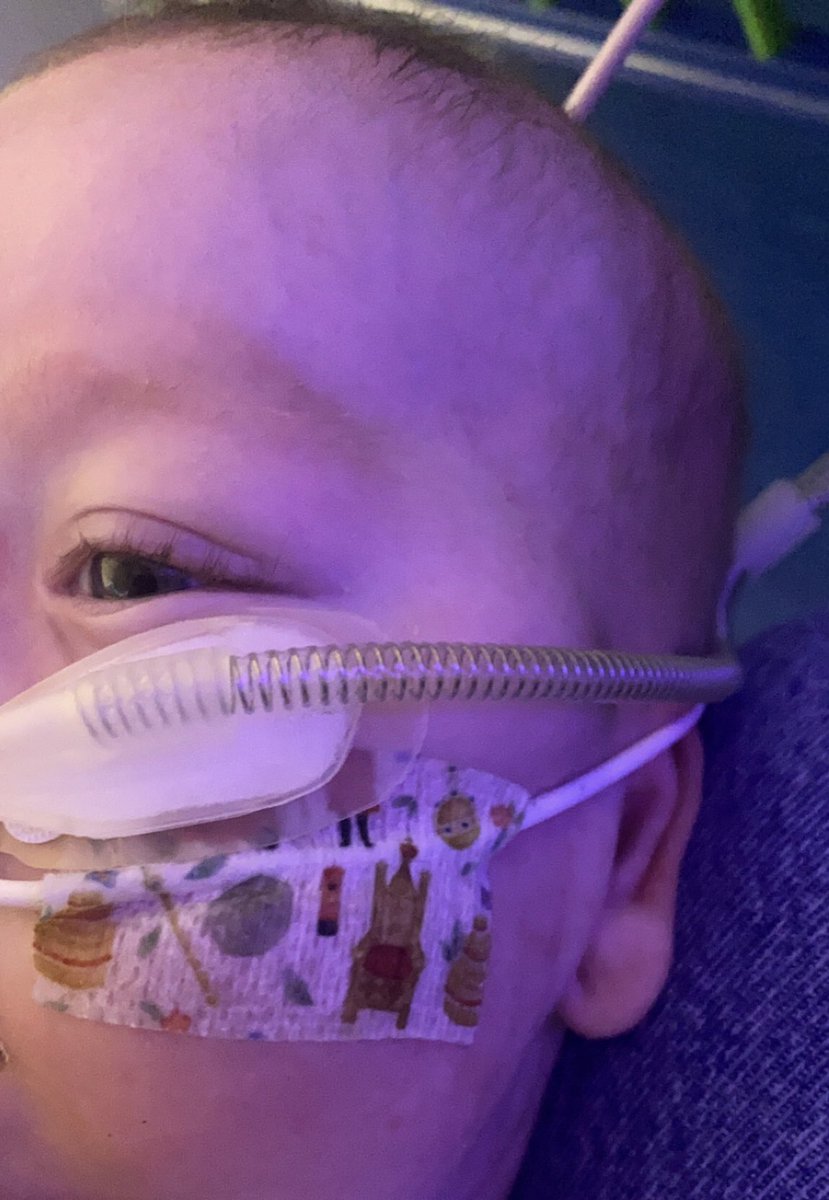 King Archie celebrating <a href="/SheffChildrens/">Sheffield Children's</a> 🫶🏻