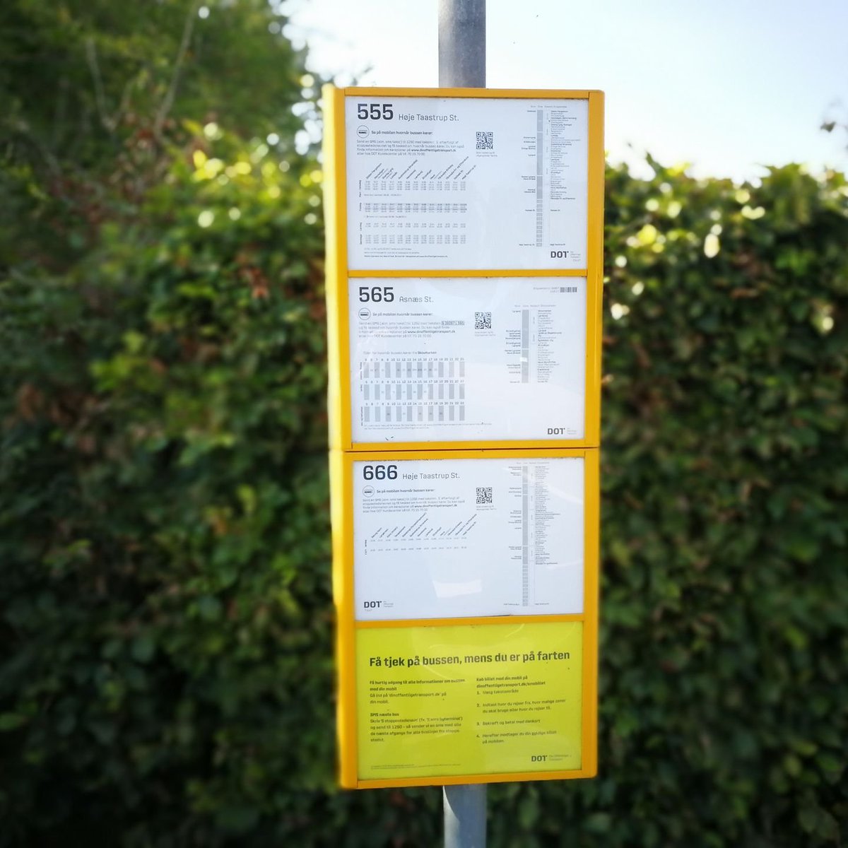 Hanxie's tweet photo. In 2017 I found a bus stop where it showed there was a bus with the number "666" we got a devil bus in my country it seems I took the picture btw
#Scary #Past #Devil666 #Denmark #Denmark2017 #Bus #BusStop #TheDevil #Satan #satanism #AntiChrist https://t.co/476aGqqvi9