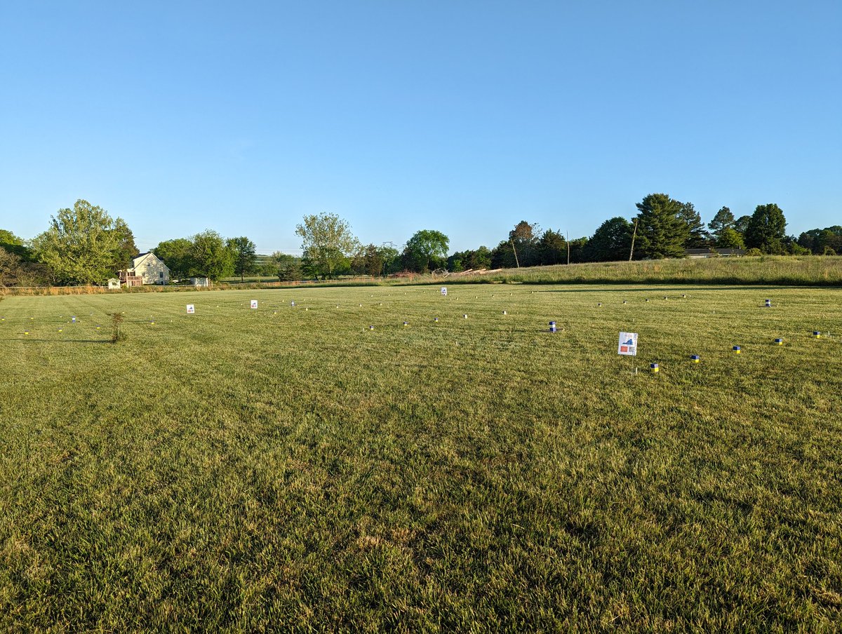 East Coast Kubb Championship tweet media
