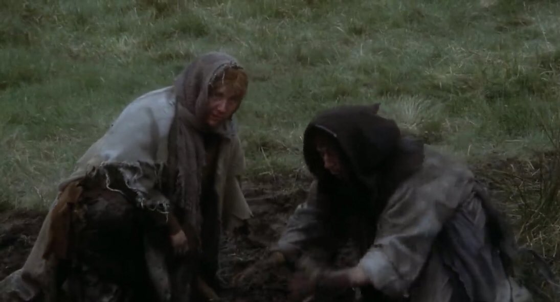 nick | freedom writer tweet media