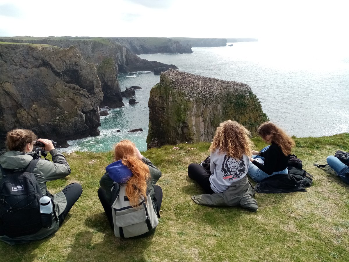 dalefortcentre's tweet photo. As the crowds gather in London today for the King's coronation, we were observing crowds of a different kind at Stack Rocks with Leuven university! Lots of guillemots, plus razorbills, choughs, fulmars and more! 😍👑#guillemots #fieldstudiescouncil #dalefort #pembrokeshire https://t.co/yPze7HOYUQ