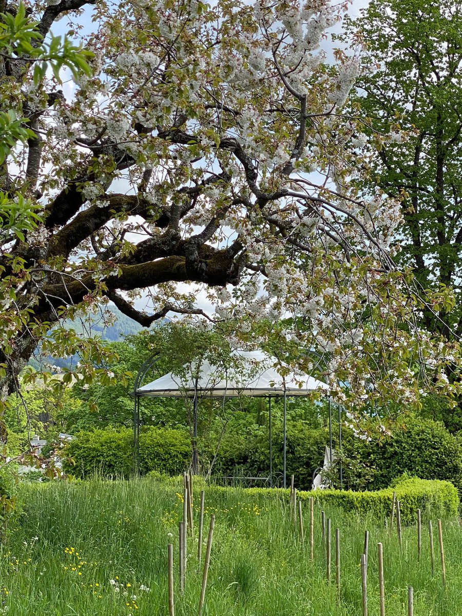 Mitgliederversammlung in den Pasquart-Reben in Biel/Bienne. Eine Oase mitten in der Stadt und ein geselliger Ort. Immer wieder schön hier zu sein!