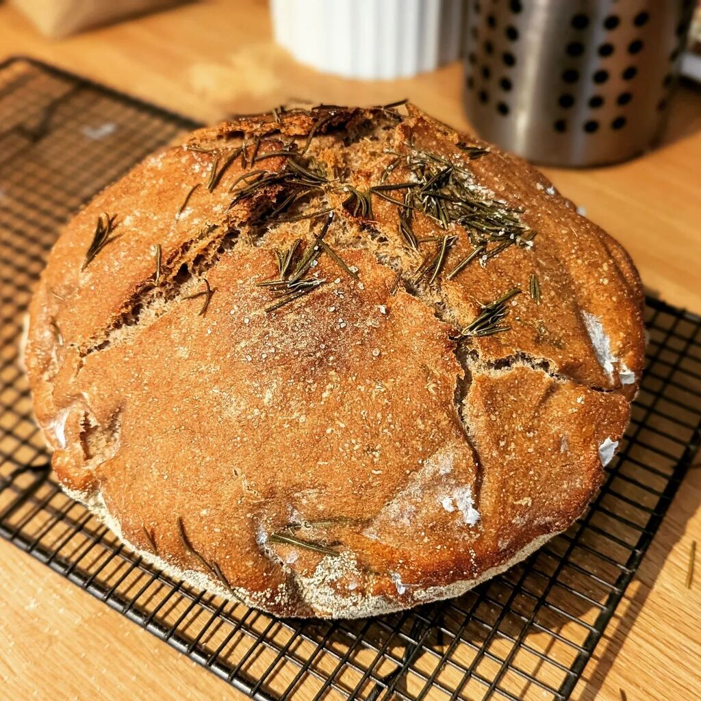 wilko_paints's tweet photo. In addition to minis, sometimes I make #bread
#sourdough #baking #thesourdoughschool #spelt #speltbread #rosemary https://t.co/bHhtUyORTm