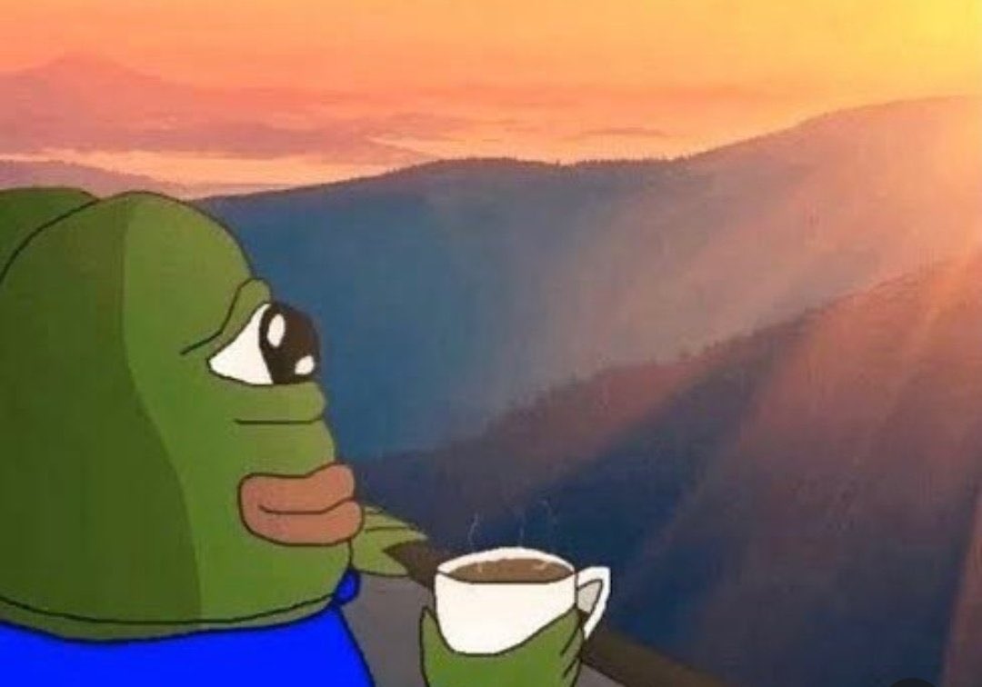 David Gokhshtein tweet media