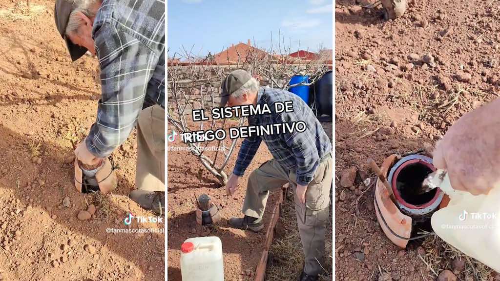 EcoInventos's tweet photo. Truco para regar de forma más eficiente y luchar contra la sequía: llevar agua directamente a las raíces de tus plantas 💧 🌱

https://t.co/VTtUahyuqu https://t.co/sUkp0C0ebr