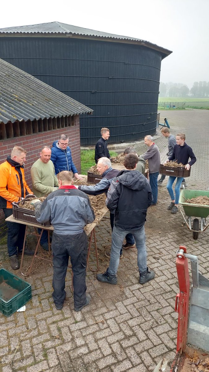 StefHoitink's tweet photo. Ochtend invulling! 06-05-2023
Bollen scheuren en poten 💚
#bloemencorso
#Festunique
#Beltrum
Wagenbouw groep 
de #Toekomst 2023
Nu al een top jaar!
11.45uur klaar voor 🍻 https://t.co/m84Yz0iPGD