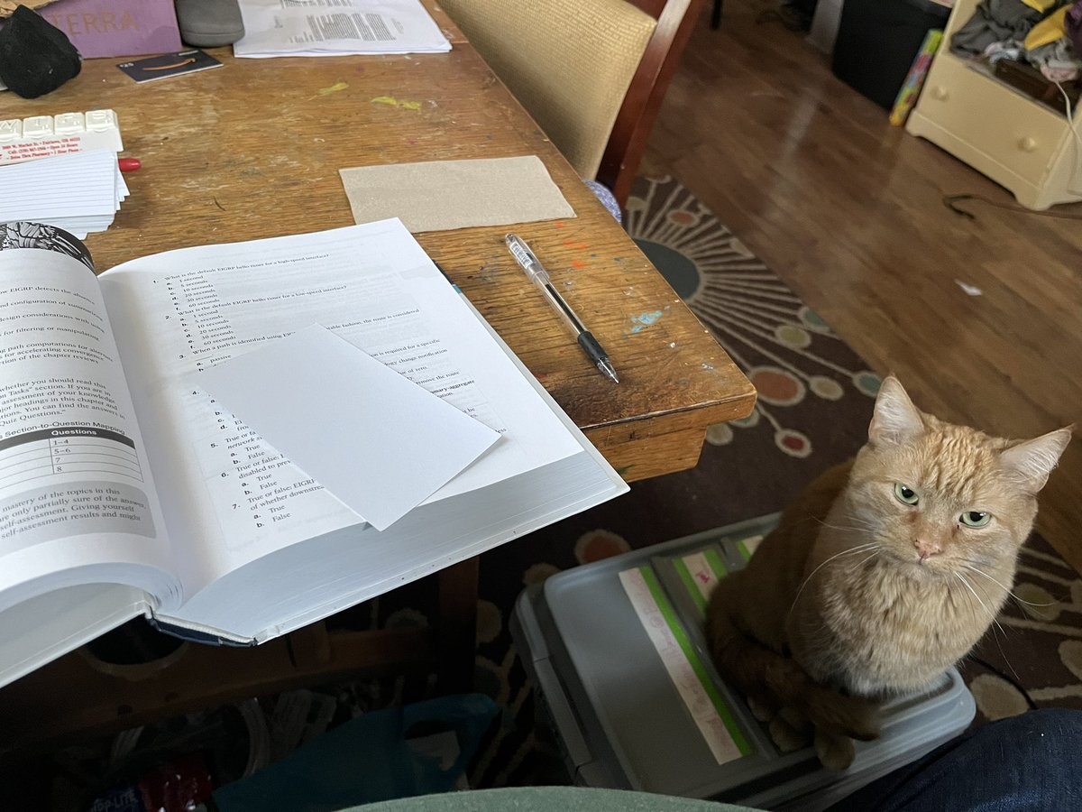 Frankh076's tweet image. When you wake up before the family to study, but you have pets @Cisco #advancedrouting