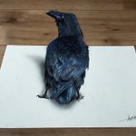 今にも飛び出しそうなリアルすぎるカラスの鉛筆画。