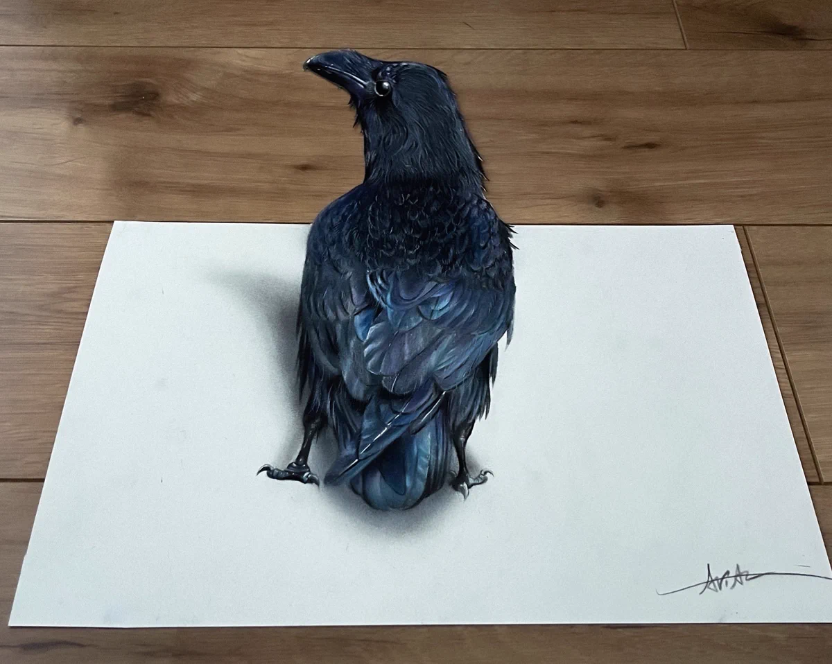 今にも飛び出しそうなリアルすぎるカラスの鉛筆画。