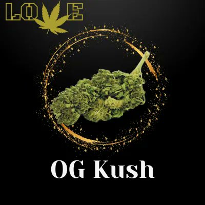 love_knb's tweet photo. Le site https://t.co/XCNkjYx5zn a fait peau neauve avec un nouveau design 👌 👌 
#CBD #Cannabis #Hemp #Health #Wellness #NaturalHealth #AlternativeMedicine #CBDCommunity #CBDLife #CBDProducts https://t.co/hQk2BkOGbV