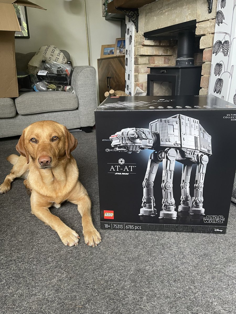 Will Talbut ⭐️⭐️ tweet media