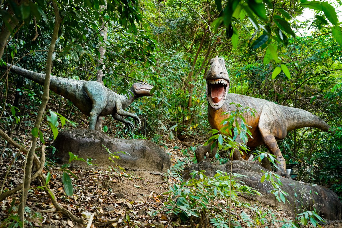 ThenmalaE's tweet photo. Welcome to Thenmala Ecotourism
For bookings and inquiries
𝖳𝖾𝗅: 𝟢𝟦𝟩𝟧-𝟤𝟥𝟦𝟦𝟪𝟢𝟢 𝖬𝗈𝖻 : 𝟫𝟦𝟫𝟨𝟥𝟦𝟦𝟪𝟢𝟢
𝖤𝗆𝖺𝗂𝗅: 𝗂𝗇𝖿𝗈@𝗍𝗁𝖾𝗇𝗆𝖺𝗅𝖺𝖾𝖼𝗈𝗍𝗈𝗎𝗋𝗂𝗌𝗆.𝖼𝗈𝗆 𝖶𝖾𝖻 :
https://t.co/v3572gHHpY https://t.co/csnjwYbZ76