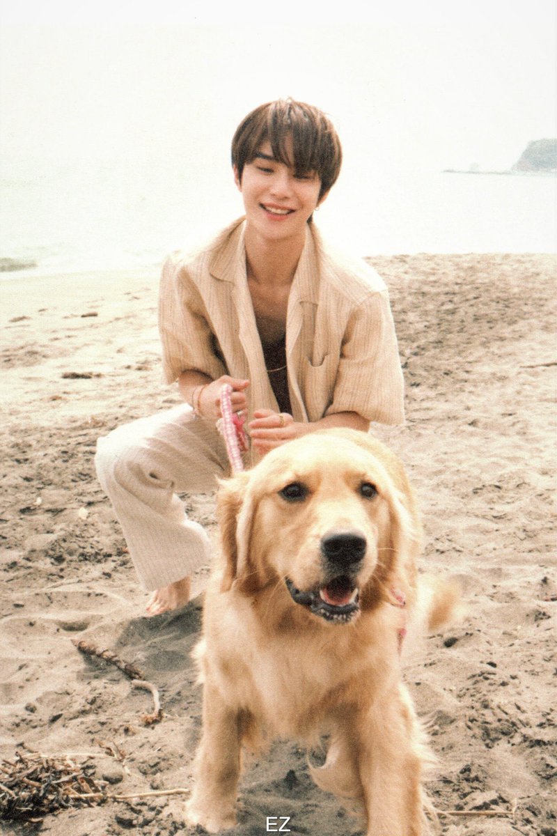 hourly jungwoo tweet media