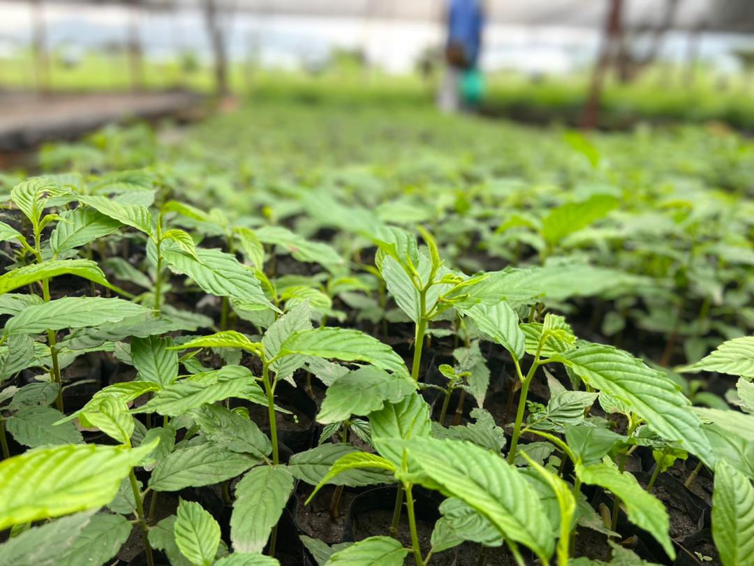 JaoTestimony's tweet photo. Let's take this time to reflect on how we can protect our planet.Simple actions like reducing plastic use, conserving water, and supporting local businesses can make a big difference. Share your eco-friendly tips with us #recycle #Properplasticmanagement #afforestation #adaption https://t.co/itnUENDCli